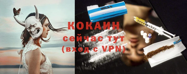 гидропоника Ладушкин