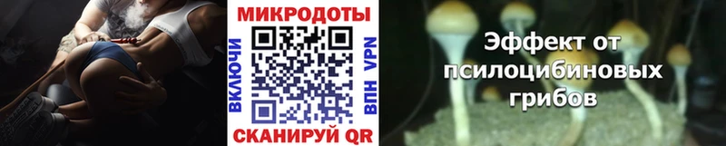 Купить где  Туринск  Псилоцибиновые грибы Psilocybine cubensis 