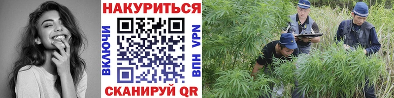 Каннабис VHQ  Купить где  Туринск 